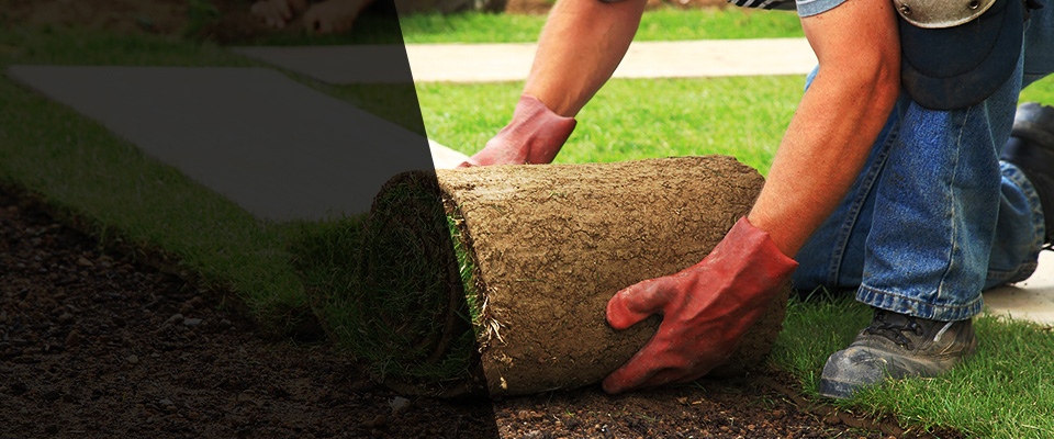 Turtle Creek Landscapers